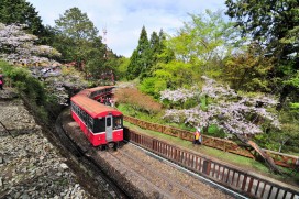 6天 阿里山輕鬆遊之旅  GV2-6D250707