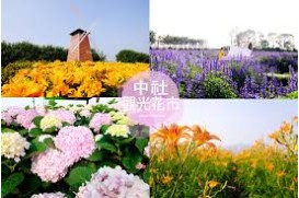 SERIES GROUP 團體出發